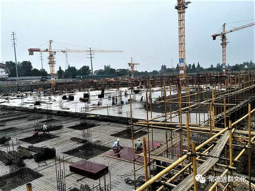 巾幗扶貧 彰顯她力量 系列故事之五 保溫防水重綠色 扶貧濟困獻愛心