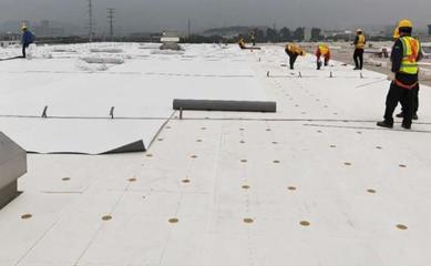 實(shí)力見證!57萬㎡TOP柔性屋面特種材料供應(yīng)商!