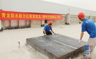 青龍防水 深耕防水行業20年,匠心打造防水品牌